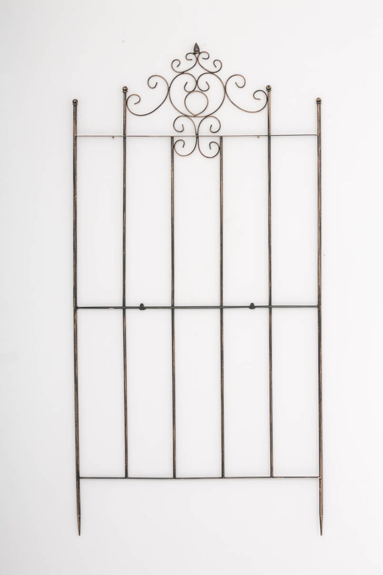 TPFGarden Rankgitter Paul TPFGarden Rankgitter Paul