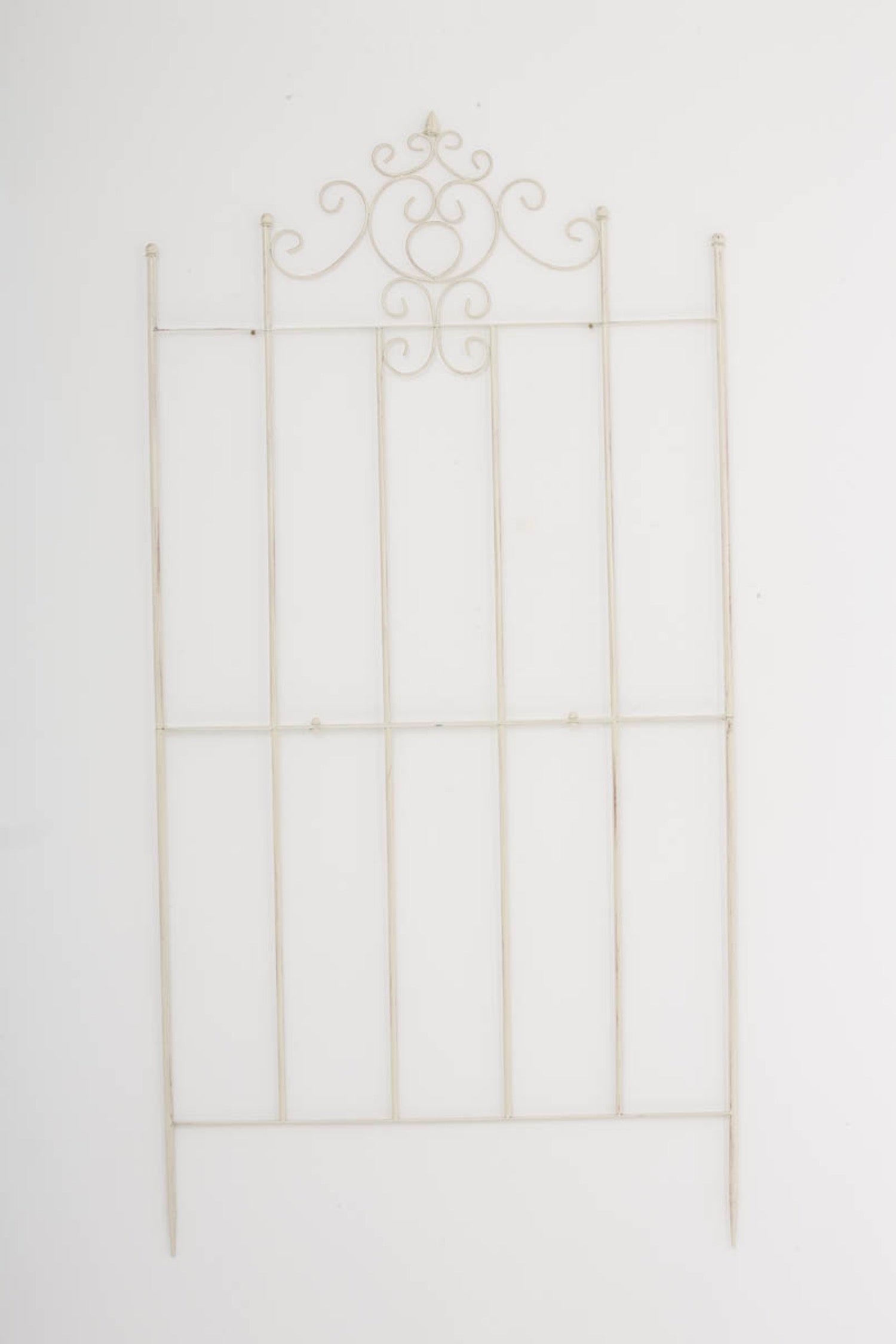 TPFGarden Rankgitter Paul TPFGarden Rankgitter Paul