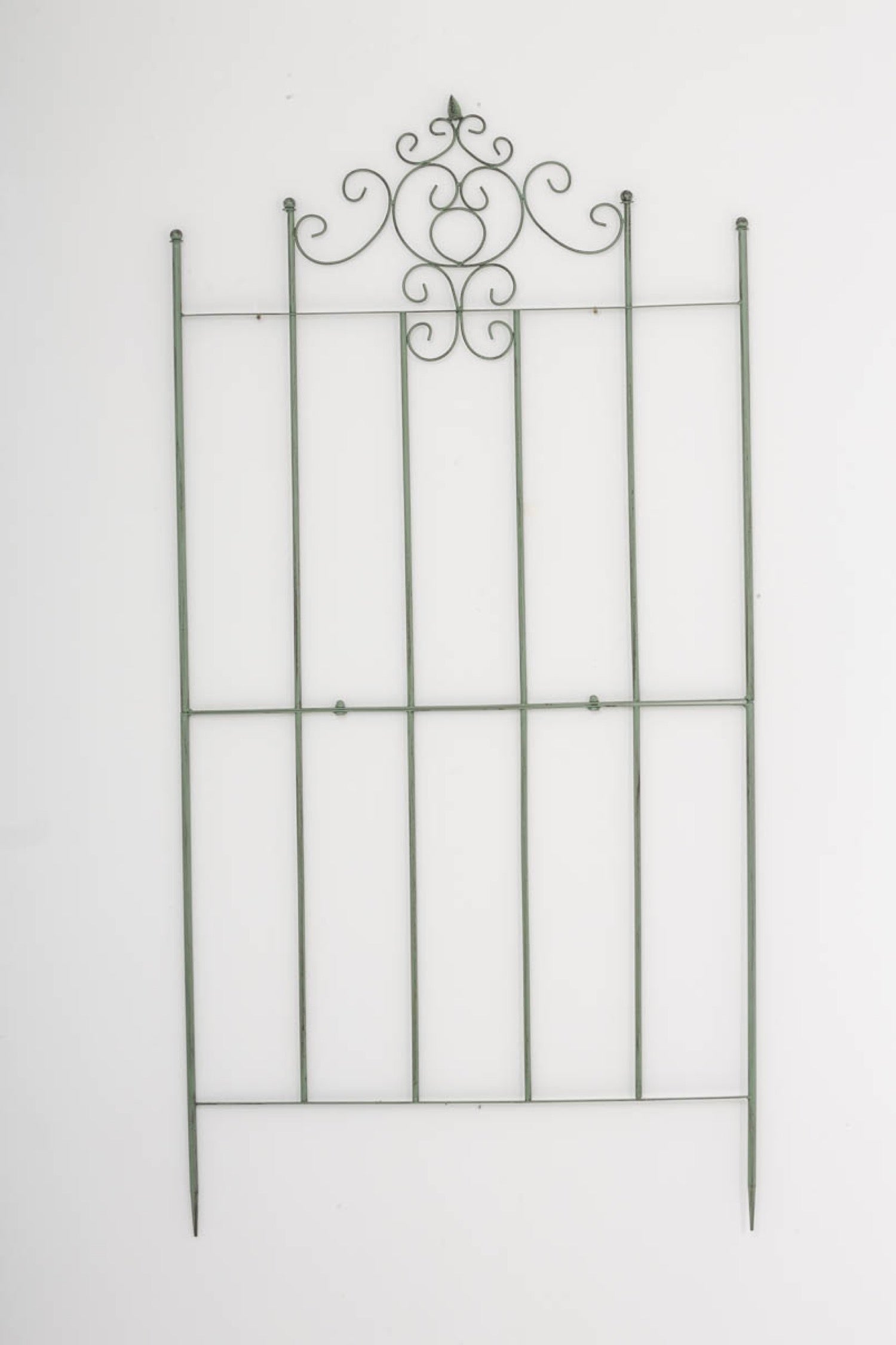 TPFGarden Rankgitter Paul TPFGarden Rankgitter Paul