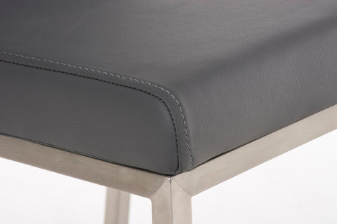 TPFLiving Esszimmerstuhl Colle Kunstleder Gestell Edelstahl gebürstet TPFLiving Esszimmerstuhl Colle Kunstleder Gestell Edelstahl gebürstet