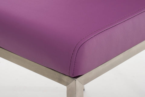 TPFLiving Esszimmerstuhl Colle Kunstleder Gestell Edelstahl gebürstet TPFLiving Esszimmerstuhl Colle Kunstleder Gestell Edelstahl gebürstet