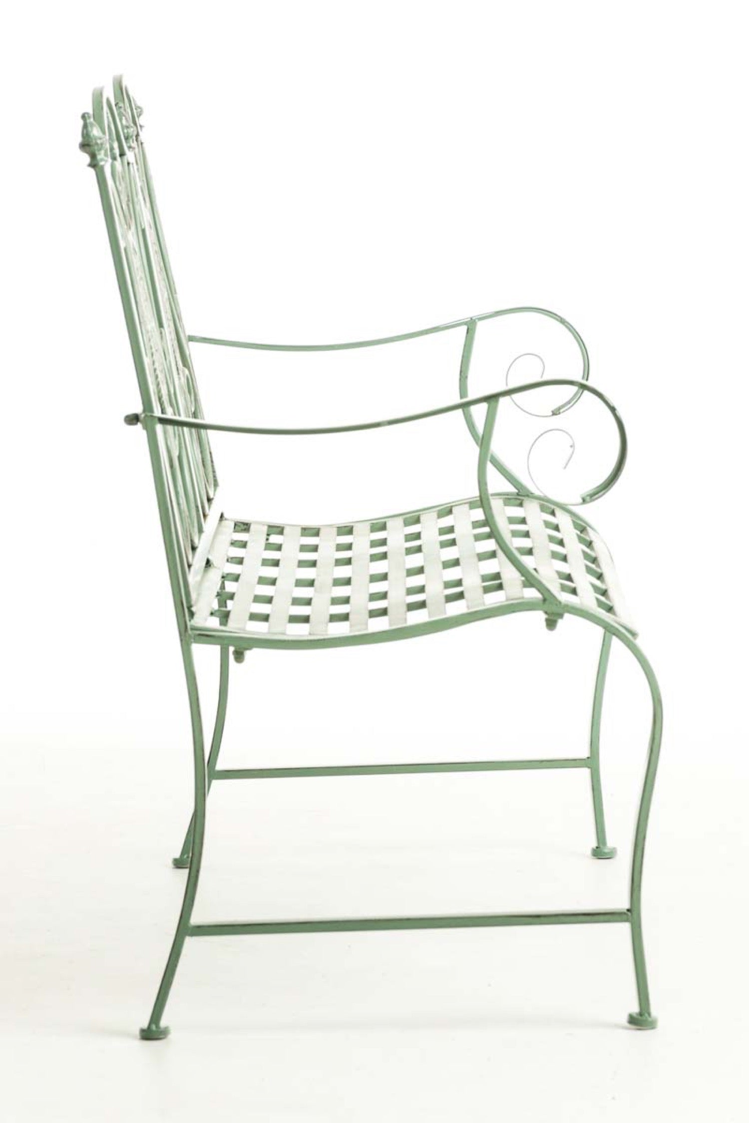 TPFGarden Bank Puncho TPFGarden Bank Puncho