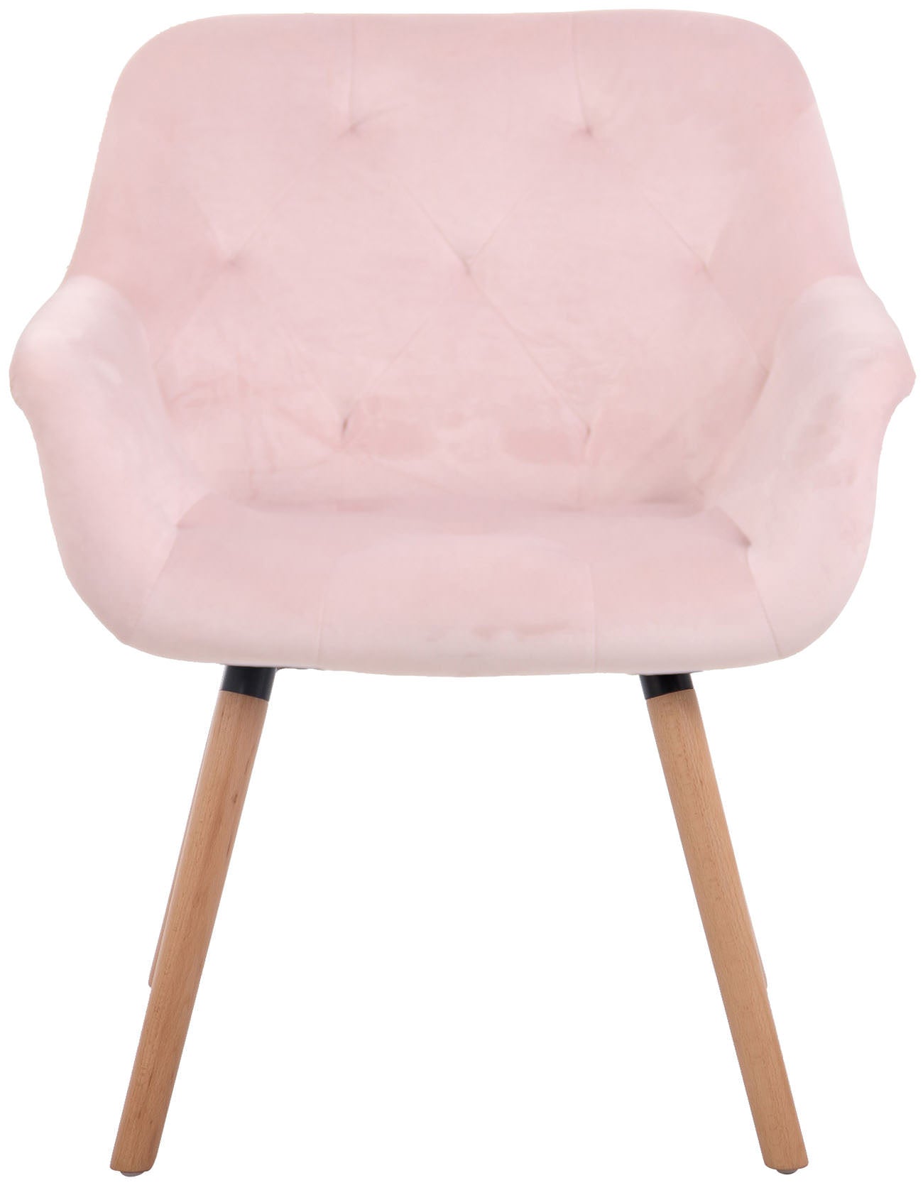 TPFLiving Esszimmerstuhl Cassy Samt Gestell Buchenholz Natura TPFLiving Esszimmerstuhl Cassy Samt Gestell Buchenholz Natura