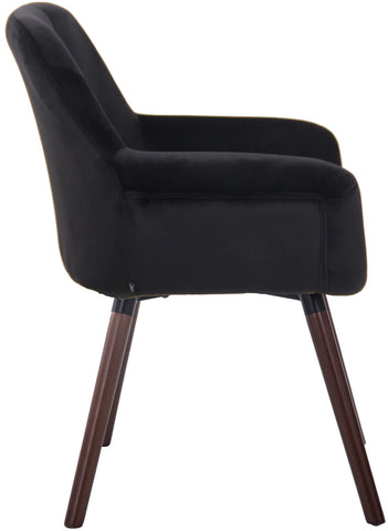 TPFLiving Esszimmerstuhl Cassy Samt Gestell Buchenholz Walnuss TPFLiving Esszimmerstuhl Cassy Samt Gestell Buchenholz Walnuss