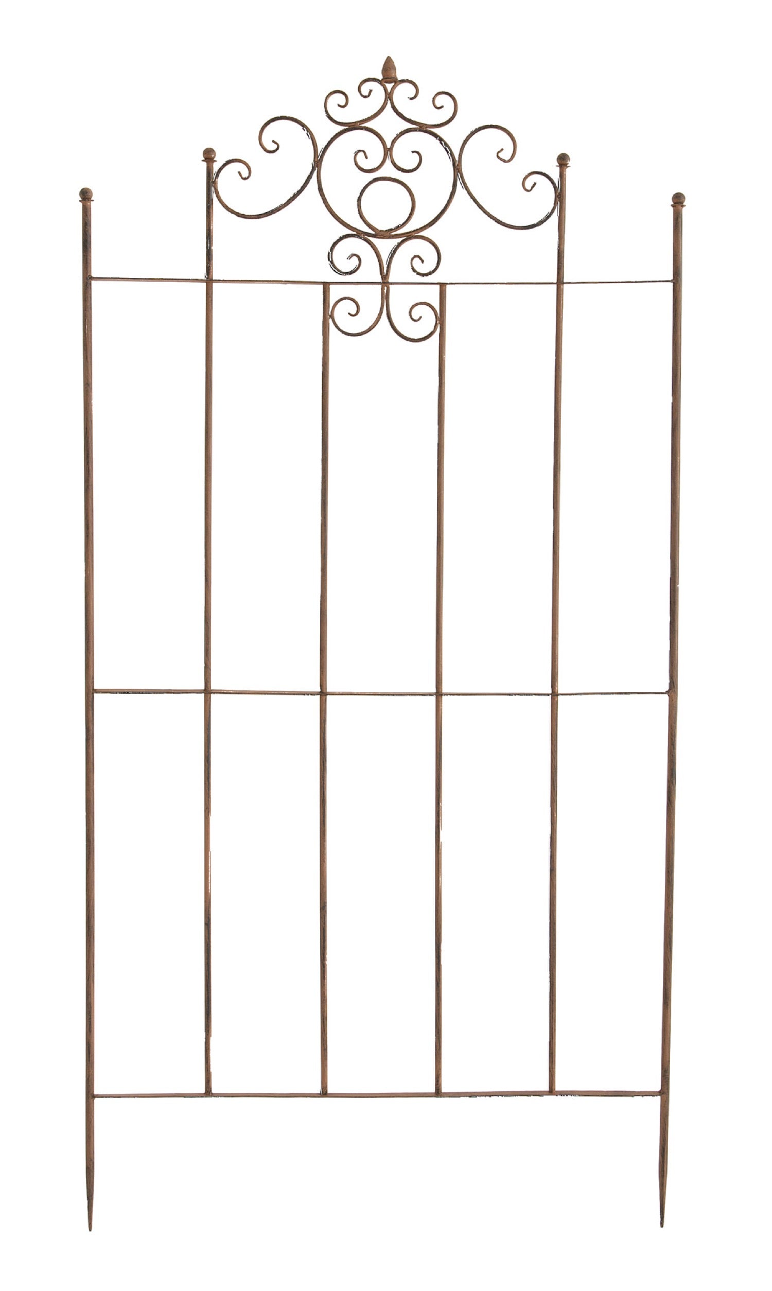 TPFGarden Rankgitter Paul TPFGarden Rankgitter Paul