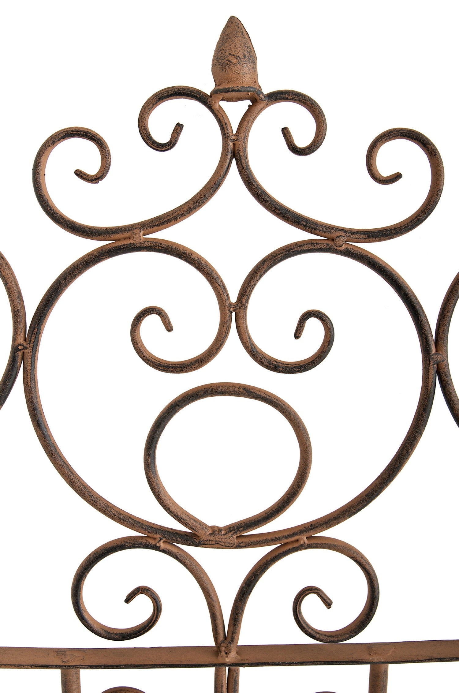 TPFGarden Rankgitter Paul TPFGarden Rankgitter Paul