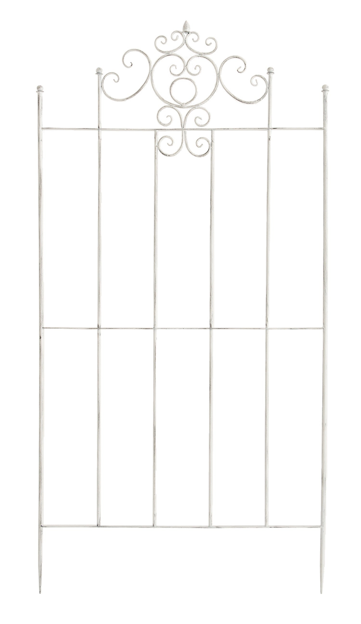 TPFGarden Rankgitter Paul TPFGarden Rankgitter Paul