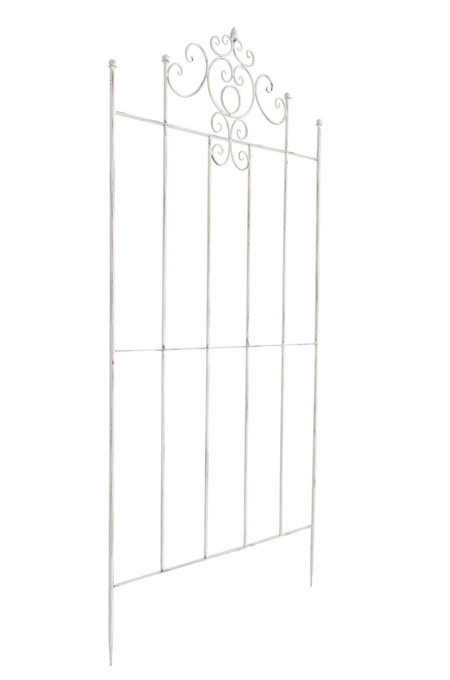 TPFGarden Rankgitter Paul TPFGarden Rankgitter Paul