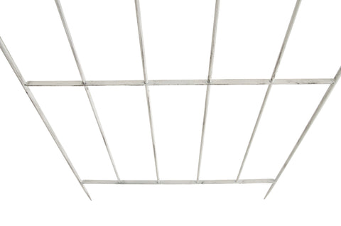 TPFGarden Rankgitter Paul TPFGarden Rankgitter Paul