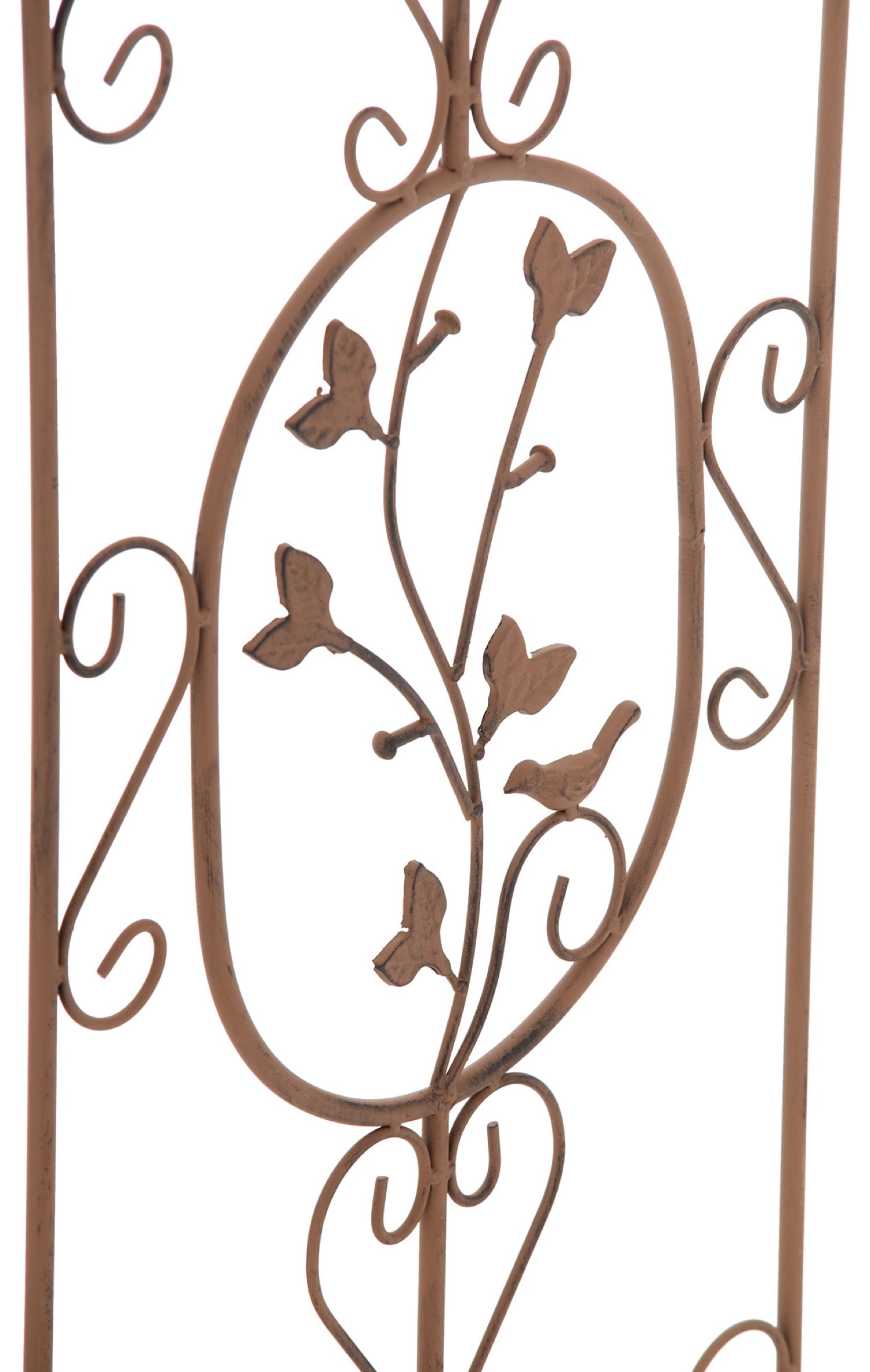 TPFGarden Rankgitter Burk TPFGarden Rankgitter Burk