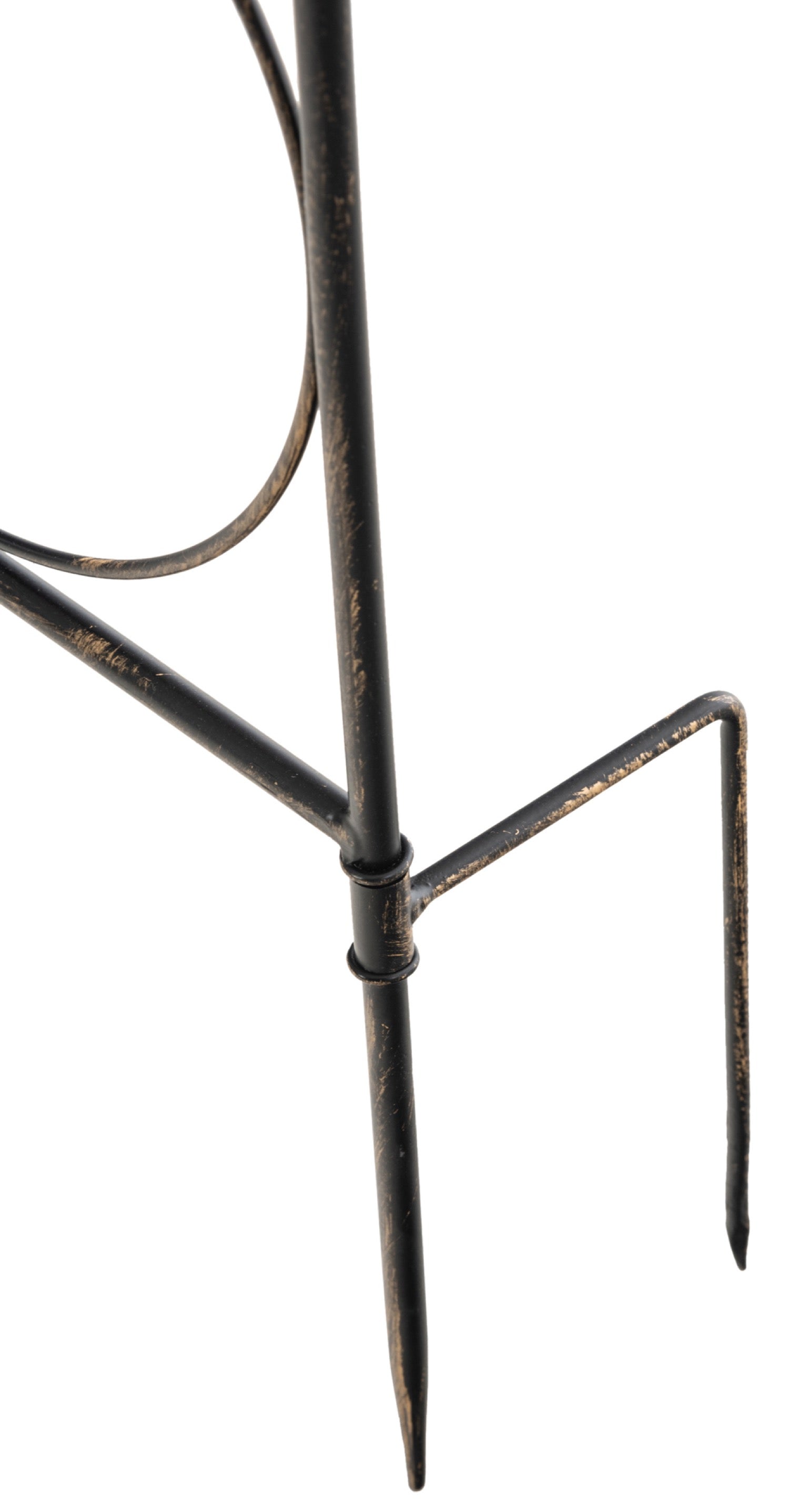 TPFGarden Rankgitter Mandarin TPFGarden Rankgitter Mandarin