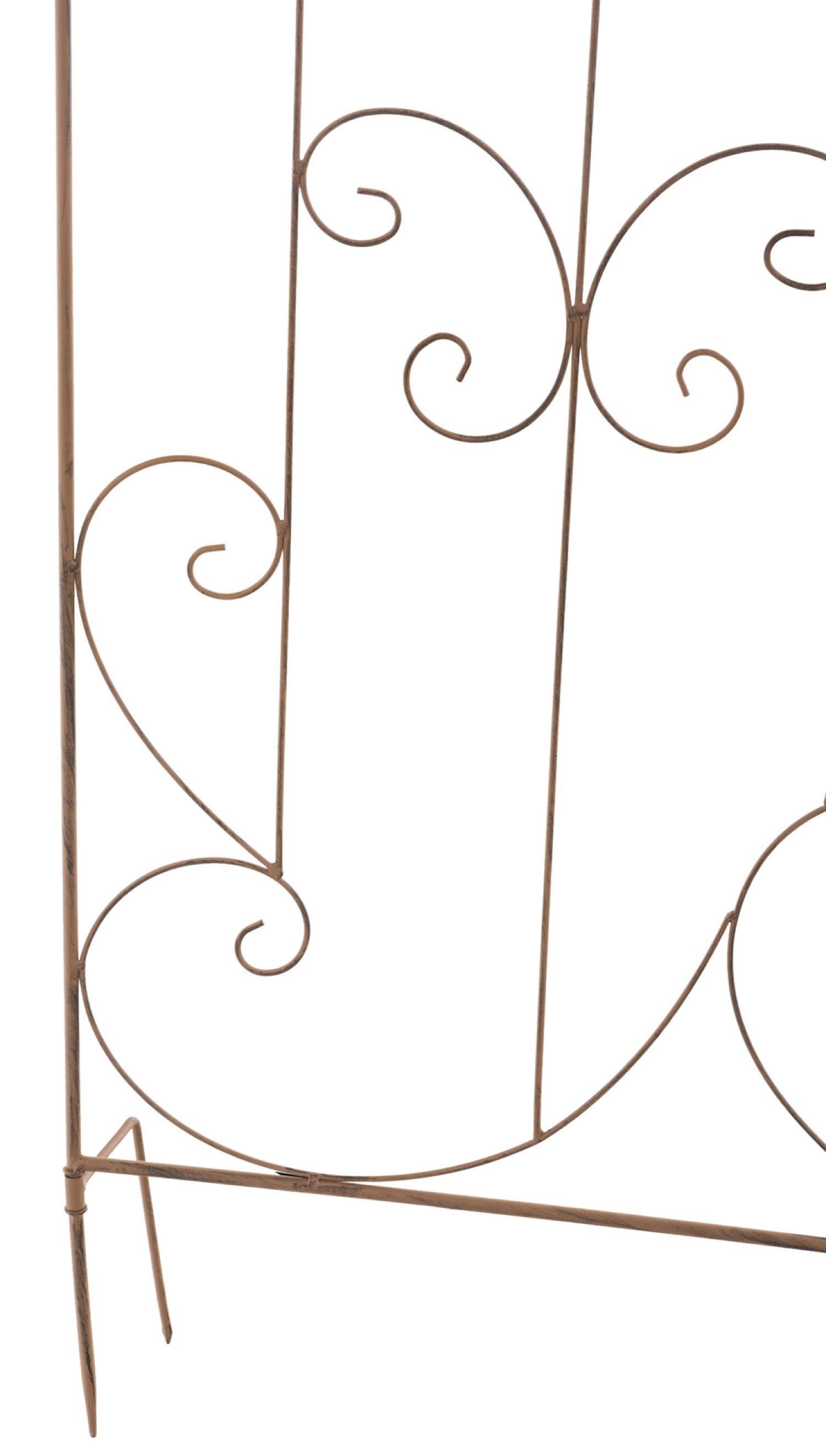 TPFGarden Rankgitter Mandarin TPFGarden Rankgitter Mandarin