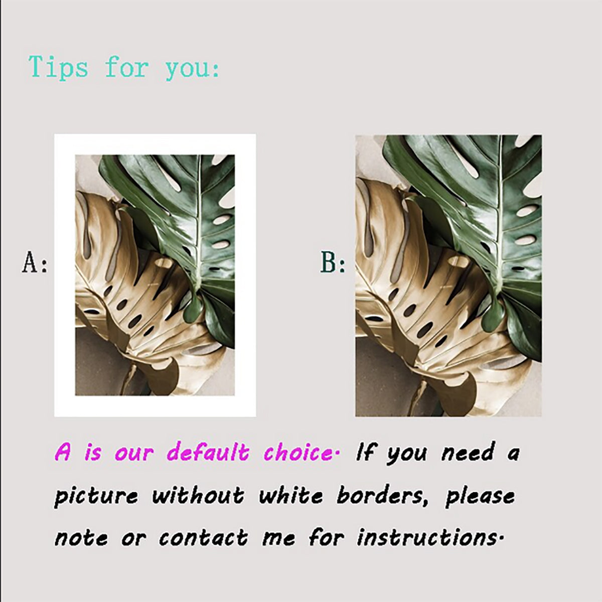 TPFLiving Poster Leinwand / Fensterblätter Monstera - / Verschiedene Größen - OHNE Rahmen - Modell 1 TPFLiving Poster Leinwand / Fensterblätter Monstera - / Verschiedene Größen - OHNE Rahmen - Modell 1