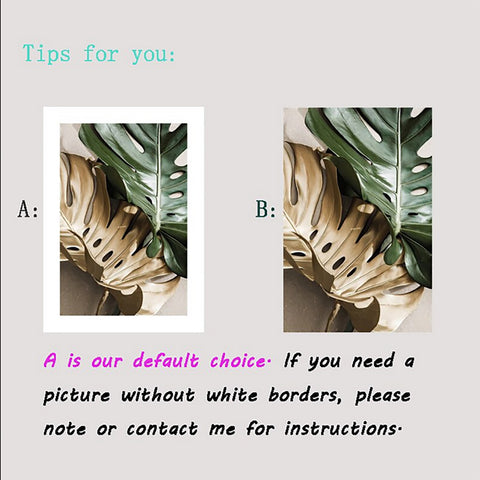 TPFLiving Poster Leinwand / Fensterblätter Monstera - / Verschiedene Größen - OHNE Rahmen - Modell 1 TPFLiving Poster Leinwand / Fensterblätter Monstera - / Verschiedene Größen - OHNE Rahmen - Modell 1