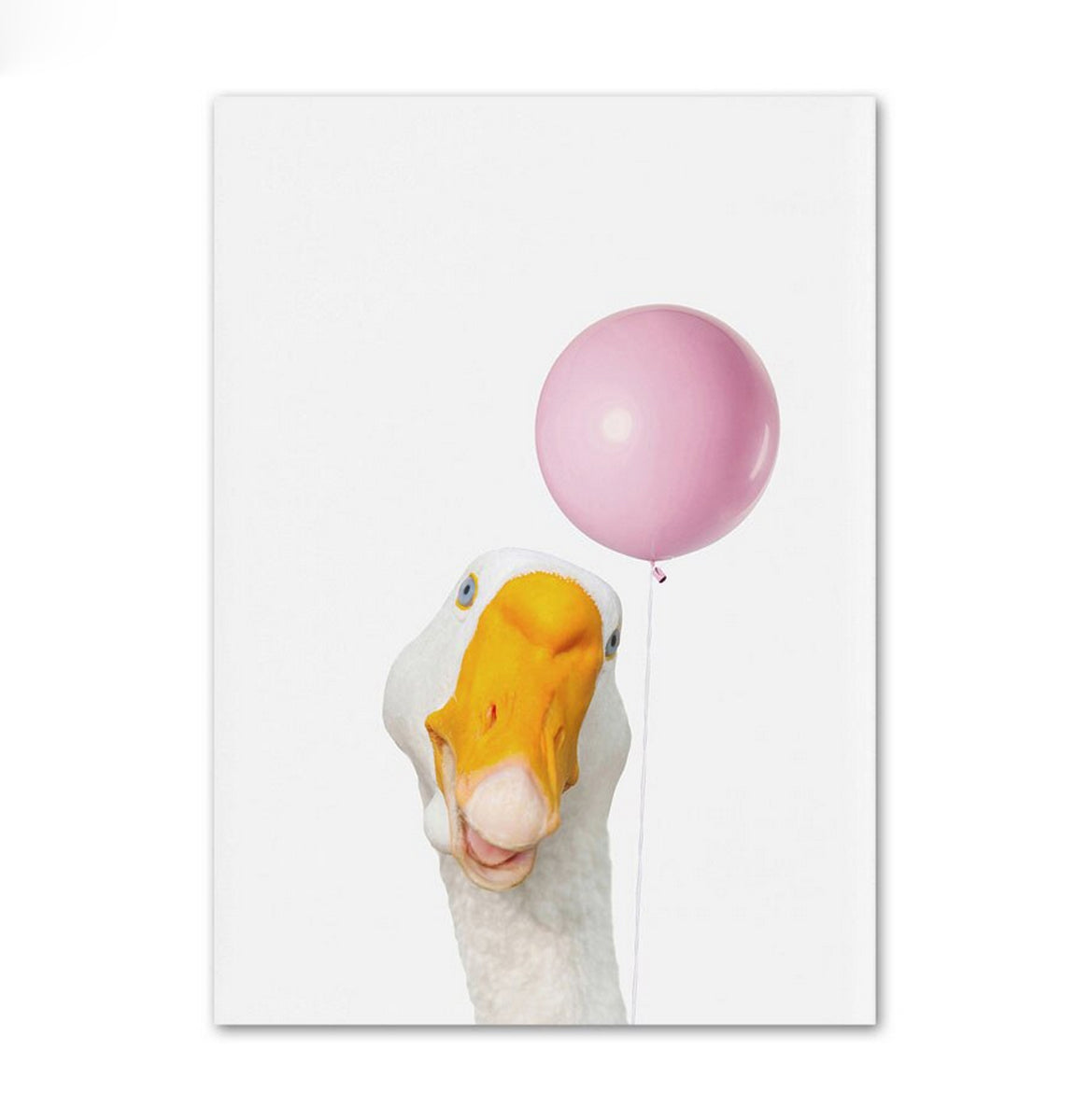 TPFLiving Poster Leinwand / Hase, Waschbär, Gans, Katze, Ente, Reh, Hund, Panda mit Luftballon - / Verschiedene Größen - OHNE Rahmen - Modell C