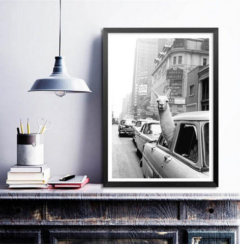 TPFLiving Poster Leinwand / Lustiges Lama in New Yorker Taxi in schwarz und weiß / Motiv in verschiedenen Größen - OHNE Rahmen - Modell FB038
