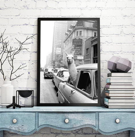 TPFLiving Poster Leinwand / Lustiges Lama in New Yorker Taxi in schwarz und weiß / Motiv in verschiedenen Größen - OHNE Rahmen - Modell FB038
