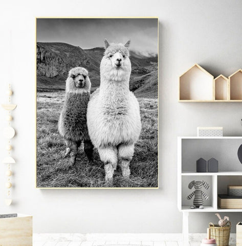 TPFLiving Poster Leinwand / Süßes Alpaka Pärchen in schwarz und weiß / Motiv in verschiedenen Größen - OHNE Rahmen - Modell FB859