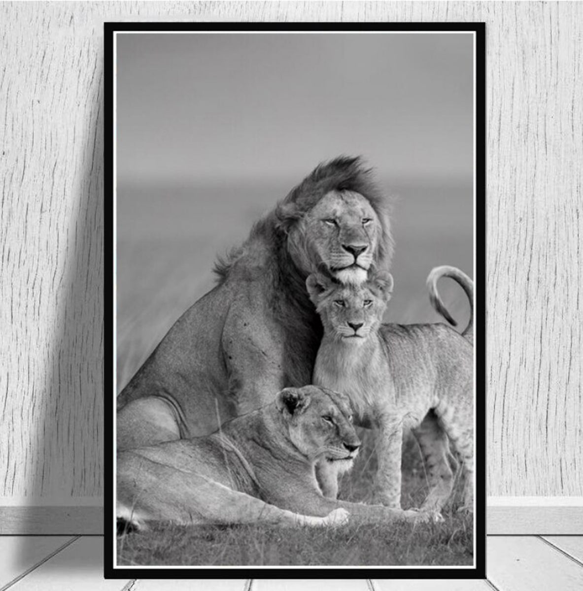 TPFLiving Poster Leinwand / Majestätischer Löwe - Löwenfamilie mit schwarzem und grauem Hintergrund / Verschiedene Größen - OHNE Rahmen - Modell JB1215-D