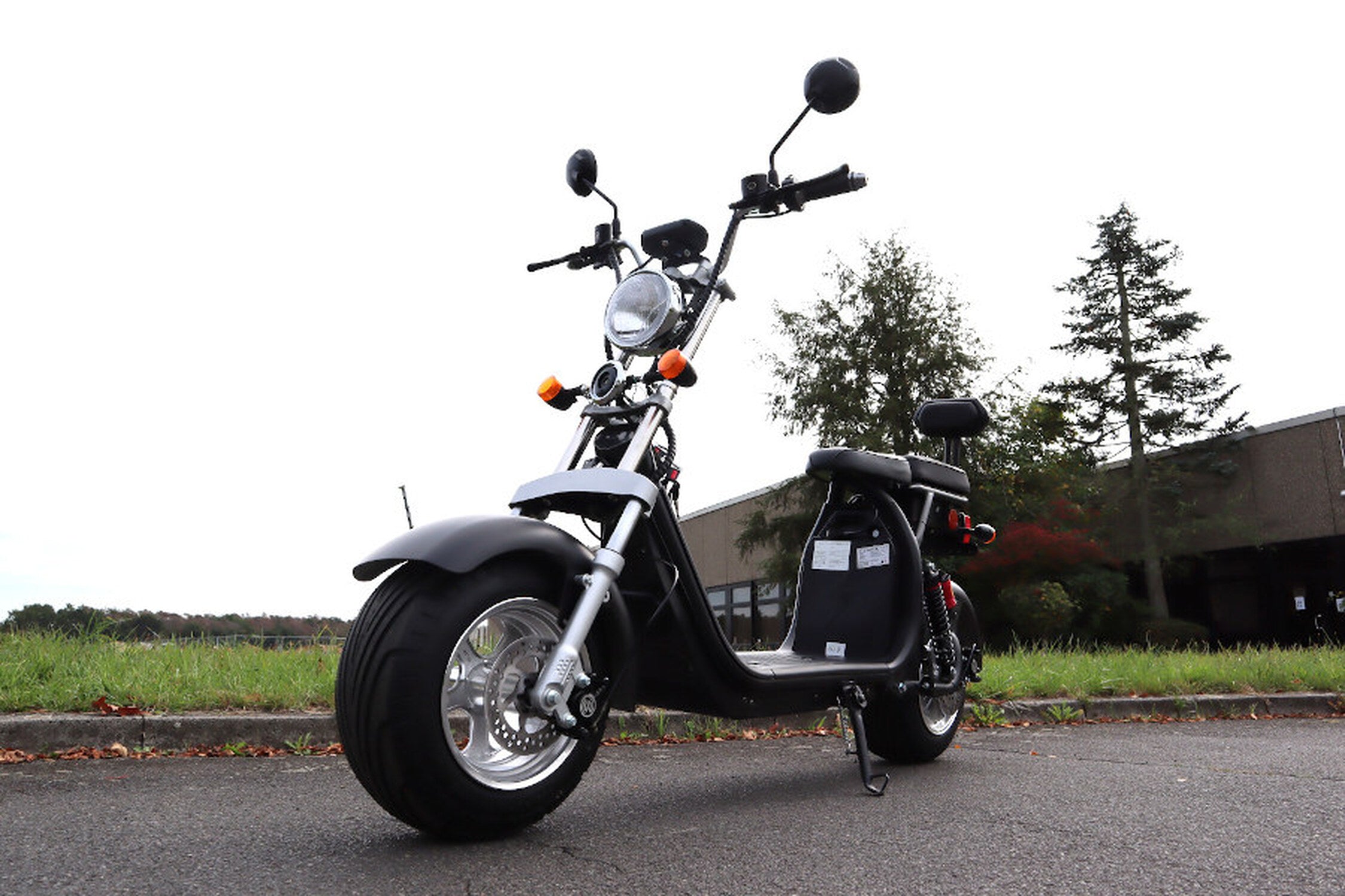 TPFLiving E-Scooter Coco Bike Fat CP1.6 mit Straßenzulassung schwarz - Elektroroller - Scheibenbremsen