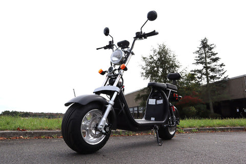TPFLiving E-Scooter Coco Bike Fat CP1.6 mit Straßenzulassung schwarz - Elektroroller - Scheibenbremsen