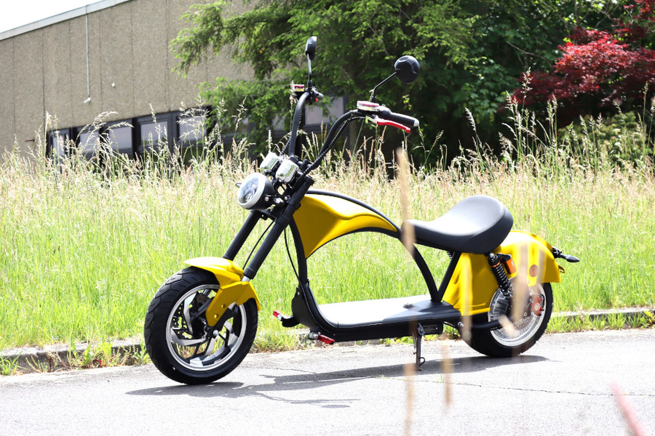 TPFLiving E-Scooter Coco Bike e-Chopper - Elektroroller - Scheibenbremsen