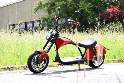 TPFLiving E-Scooter Coco Bike e-Chopper - Elektroroller - Scheibenbremsen